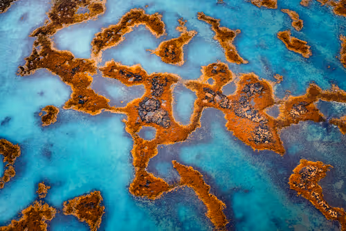 Item #55403408665547609189092792610750107765895786822855229620827418960254482776065 Media