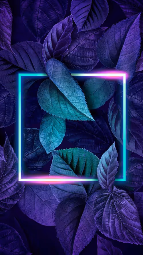 Item #92477199435376610494991766029366991700117357612985570429136997757619978371073 Media