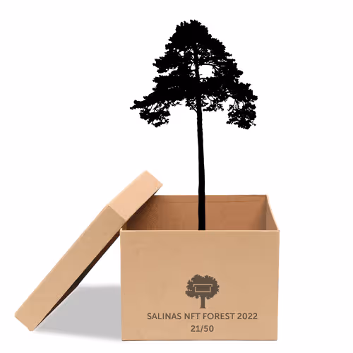 Item #63532776318757439562276927313719991273687356279339277108967620998114094088193 Media