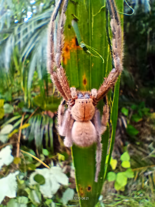 Item #97588253678271275097252661092485734826909579227738092093509096735904387563521 Media