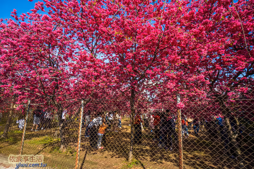 Item #100744422725674417057824683306763013505668843176654858816283483925235443433473 Media