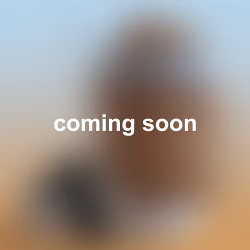 Item #5669063411712186071457994490841560346885873520600616565802899237449221799937 Media