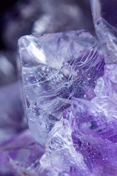 Item #66707676080978551838263520702754250537377931787813102231396956417755021574145 Media