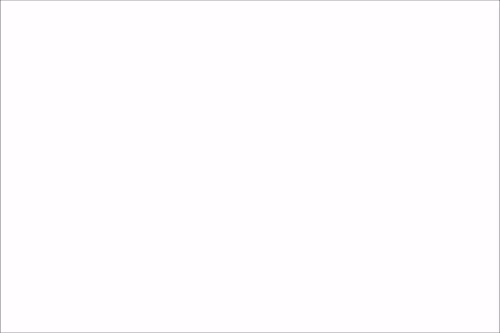 Item #76528509092032182374584444859599057819005289067061182592385821072823351771137 Media