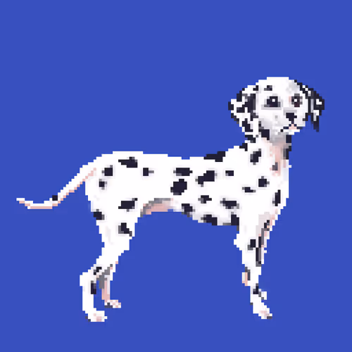 Item #13080766421190555612307919645379576803990371461875354718024555160708373807109 Media