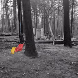 Red Swing