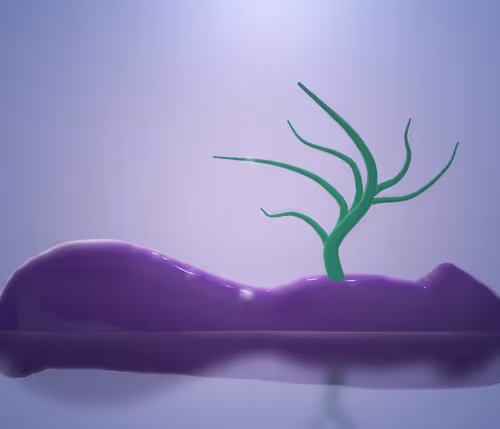 Item #80030625358216375067957960538342837023514658473825750892715100402102667575297 Media