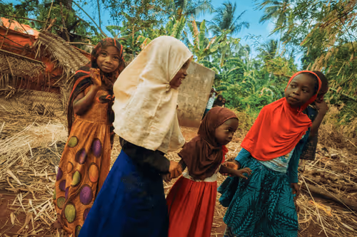 Item #81057615018985245267668409952199543064735075507553677475786031535631194128385 Media