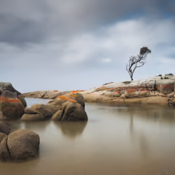 SEASCAPE 010