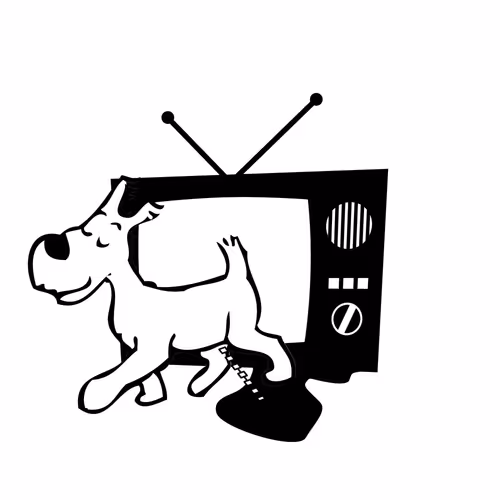 Item #75227540483884573088237676903122422150204996043670989121621617539871640911873 Media