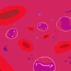 934703898012182659229280104058334114522443989908334841849410496289608564757