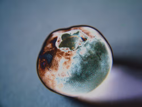 Item #58921648873001727541291667899035918231730626579624698148137299692464845619201 Media