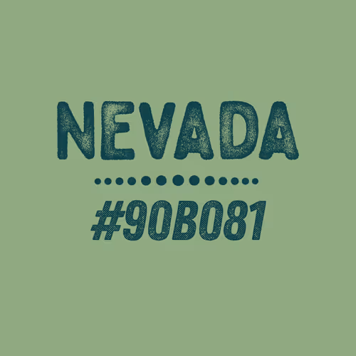 Item #84571129449574532898266752937806546903875743713063786161290643590144973602817 Media