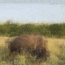 105089968166921690156624725616502706642431777719922472152070405804126151639041