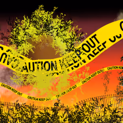 Abstract Caution