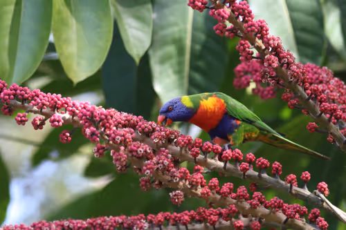 Item #38679742034539595231050778277230577149943789844640085041494942464992721502209 Media