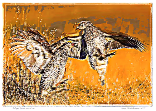 Item #113829610119937179277145653237989536661159515398728099625049874640273869373441 Media