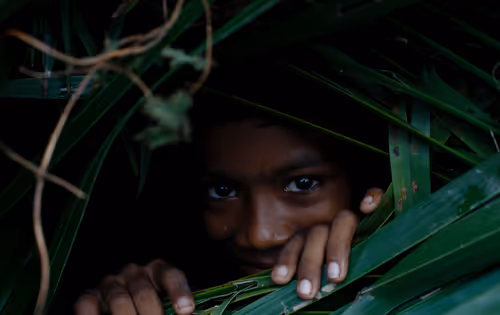 Item #68668679460733179751995579046996266075263869281073028949934511781615694249987 Media