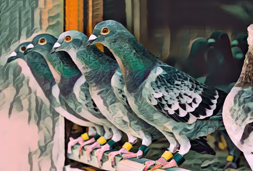 Item #8611177212973406975637787311467685402207376623163261380943492177436484829185 Media