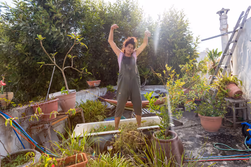 Item #94745967520971096604057728122660795152210802931068623242205408501844217430017 Media