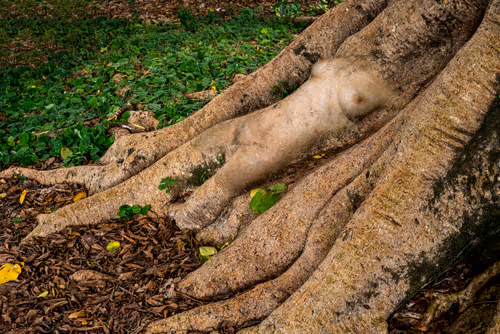 Item #105836017771423557183931558277920297823919466206112556630061826430170686291969 Media