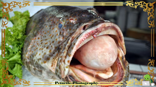 Item #63688176006920298669738405398310368792609774011425620877012058009944262180865 Media