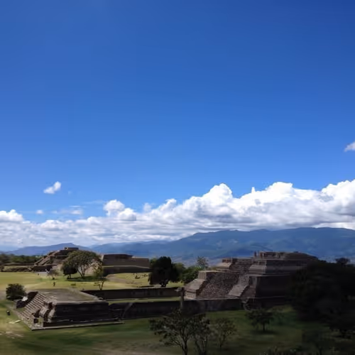 SUNSUNHAPPY Collection