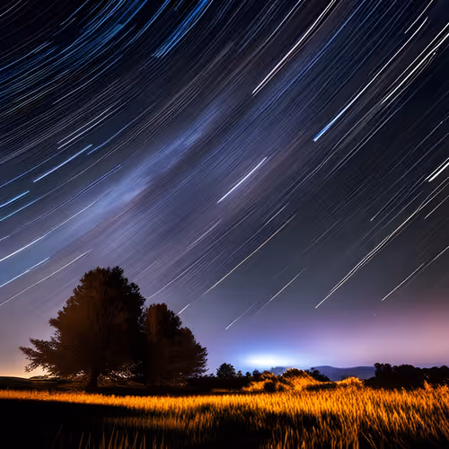 Item #79207774957863144693430944518261332882010116459257474414106635670917637734401 Media