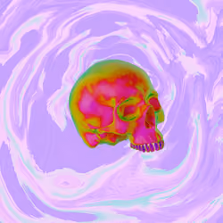 RenegadeSkull#0003 CHR