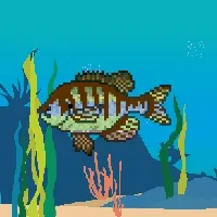 Etherfishing