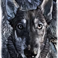 Crypto Wolf