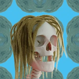 3d Skull Punks