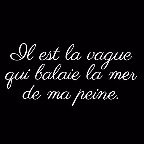 Item #74371741931470645784912528948589980971587939009711764784213724927931348680705 Media
