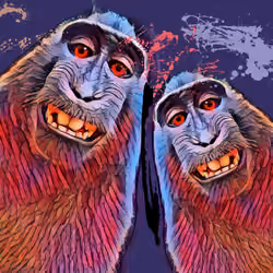 Digital Cool Smile
