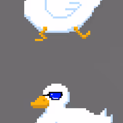 DancingDucks #4