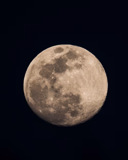 Item #36803766187647196690517014366493952358167166362150973793678746435615046238209 Media