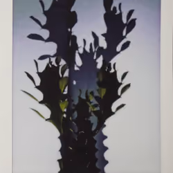 Scary Plant