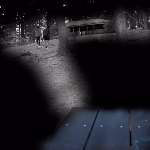 Item #66452819172622701428948065034267222490097703426417605773472906328715774918657 Media