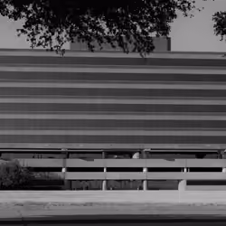 DFW #197