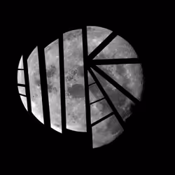 82291620555978562542312322718574203247694604495549589156920071495778259959809