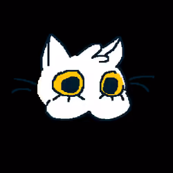 Kat #37