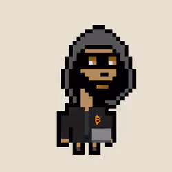 Punk 6166 Hacker