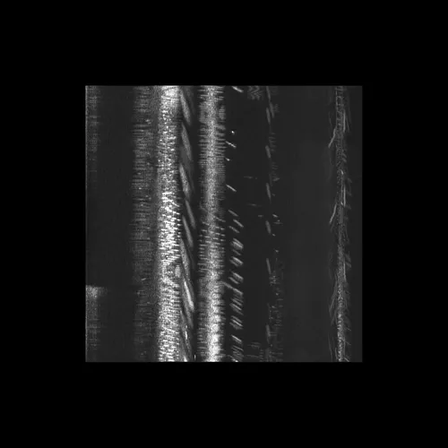 Item #43939955971694368961434358164711021081057237677410347264159754974073219710977 Media