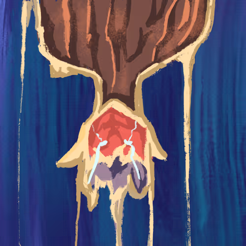 Item #36692696533598625501097278294401396026321781573690218694410752816321667268609 Media