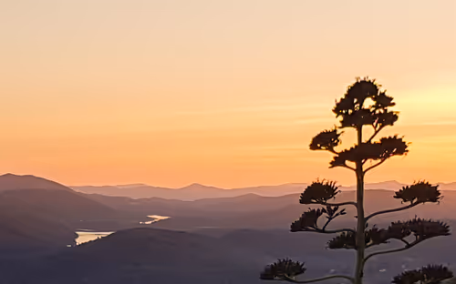 Item #87313403641458548578915829141602079260166902166585412055550580871326274158593 Media