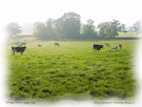 Item #25766228410116791685339336380012731519026805930459738932816938841296473161828 Media