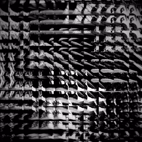 Item #50496161130639490593841555405928886694817796431995439840027844386482867404801 Media