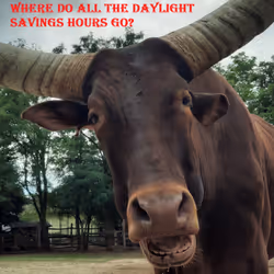 51313302132644519913343847646347811445510524411913136629935896349684357136385