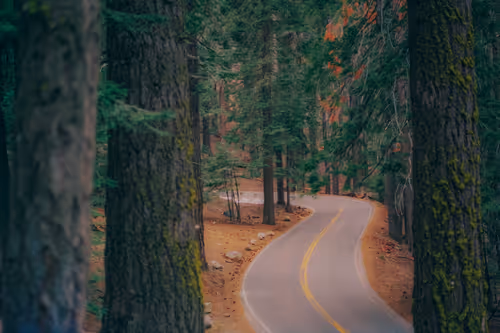 Item #65389115153694578478564242241340255981733508835170709142805133204224984743937 Media