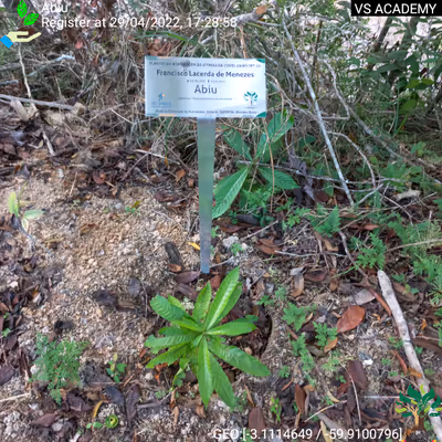 Item #8500196597889277390194123329501889087166328879864934763448348849005081395201 Media